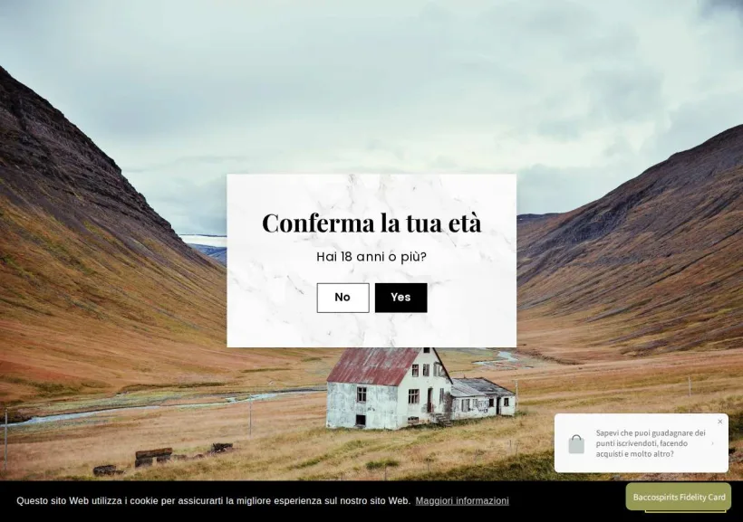 Schermata della pagina offerta di Bacco Spirits