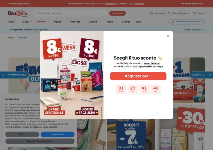 Schermata della pagina offerta di Bauzaar