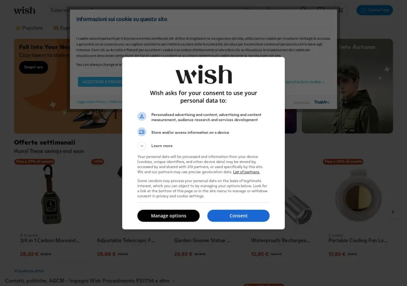 Schermata della pagina offerta di Wish