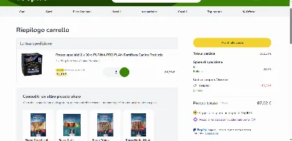 Test al checkout