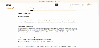 Politica di reso