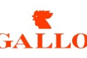 Gallo