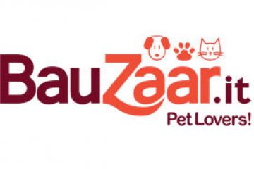 Buono sconto Bauzaar logo