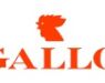 Gallo