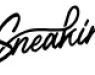 Sneakin