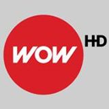 Buono sconto CDWOW logo